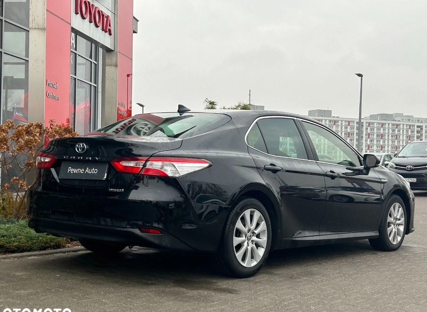 Toyota Camry cena 109900 przebieg: 101341, rok produkcji 2020 z Poznań małe 137